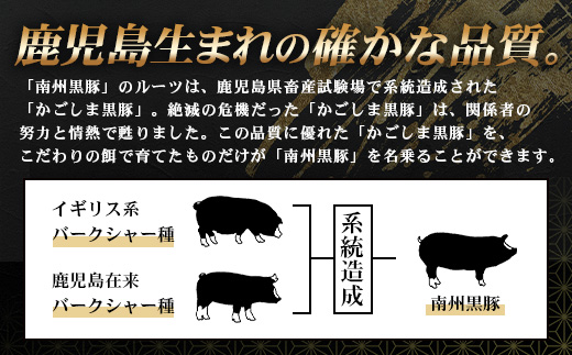 【鹿児島黒豚】ロース味噌漬け＆シャブシャブ詰合せ（3239）