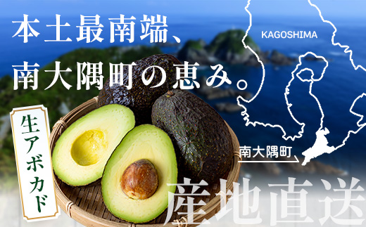 【期間限定・数量限定】 2026年11月より順次発送予定 南大隅町産 生アボカド 約1kg （4品種から2種以上おまかせ）SG-2｜ 産地直送 国産 アボカド 新鮮 森のバター 希少 鹿児島県産 本土最南端 ピンカートン モンロー ジャンボイス エッティンガー しげひさ農園