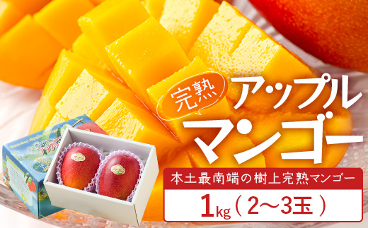 【先行予約】☆本土最南端☆佐多の果樹園で育てた 完熟アップルマンゴー 1kg (2～3玉) 【2026年7月上旬以降順次発送】 ST-407 ｜鹿児島県 南大隅町 産地直送 旬 マンゴー フルーツ 果物 くだもの アップル マンゴー 詰め合わせ 第一佐多果樹園