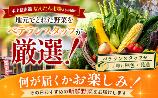 よくばり新鮮お野菜セット 12品目以上 NI-6｜ 旬 野菜 やさい 果物 くだもの 産地直送 農産物 冷蔵 鹿児島県 南大隅町産 詰合せ おまかせ 家庭用 なんたん市場