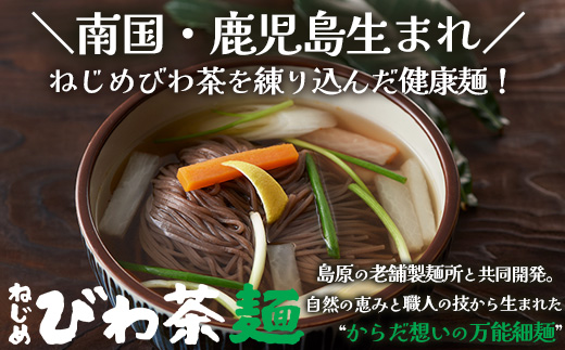ねじめびわ茶１０包入とねじめびわ茶麺４束 セット TO-519-NP | 国産 お茶 健康 茶 カロリーゼロ 無香料 無着色 ポリフェノール さわやか 甘み 香ばしい おいしい トルマリン石焙煎 びわの葉 産地直送 麺 めん 乾麺 和風 洋風 中華風 びわ茶 ラー麦 コシ のどごし 温麺 冷麺 ゆでるだけ 鹿児島県 南大隅町 十津川農場