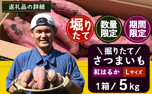 【期間限定！数量限定！】掘りたて さつまいも 紅はるか 5kg Lサイズ (おすそ分け袋／自宅で簡単レシピ付き）FR-532 | 秋の味覚 2026年秋収穫 新物 さつまいも サツマイモ 感動サツマイモ 焼き芋 べにはるか 大きめ 野菜 おやつ おかず お弁当 煮物 芋ごはん 味噌汁 産地直送 鹿児島県 南大隅町 株式会社フォレスト