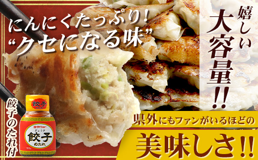 佐多の田中肉屋ニンニクたっぷりやみつき餃子 120個