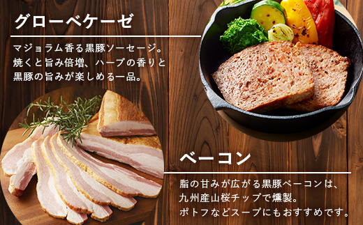鹿児島県産 BBQ-BOXⅠ ハム ソーセージ ベーコン 詰め合わせ セット NS-24 | かごしま 黒豚 生ハム ボロニア ウインナー ソース ジャーキー おつまみ バーベキュー 焼き肉 肉 肉汁 香ばしい 低添加製法 冷凍 鹿児島県 南大隅町 南州農場