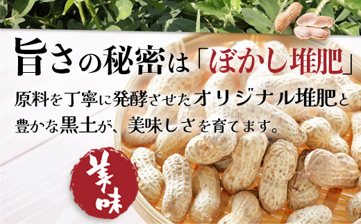 ≪数量限定≫鹿児島県産　食べ応え抜群の大粒落花生「おおまさり」５００g袋×２袋