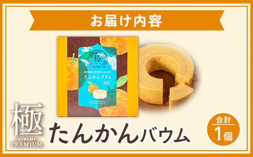 素材にこだわった南大隅町の手作りスイーツ ≪極≫ たんかん バウムクーヘン　1個