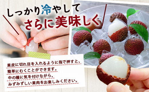 【今が旬！数量限定】本土最南端よりお届け！希少生ライチ（約400g）TE-1｜国産 果物 ライチ らいち 生 枝付き 栽培期間中 無農薬 ぷりぷり ジューシー 産地直送 限定 鹿児島県 南大隅町 有限会社ティエラ