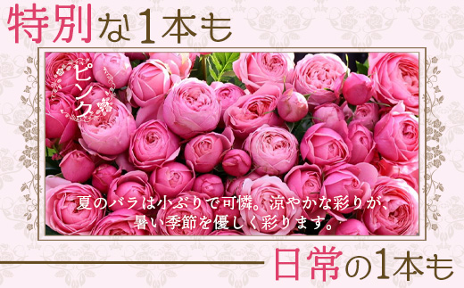 【日付指定必須・ギフト対応可】 夏季限定 ばら農家直送！バラ花束40本以上お届け(ピンク系) TB-6│ローズ 新鮮 花 フラワー 花束 ばら 薔薇 バラ 誕生日 記念日 結婚祝い ギフト プレゼント お祝い 贈り物 贈答 鹿児島県 南大隅町 富田バラ園