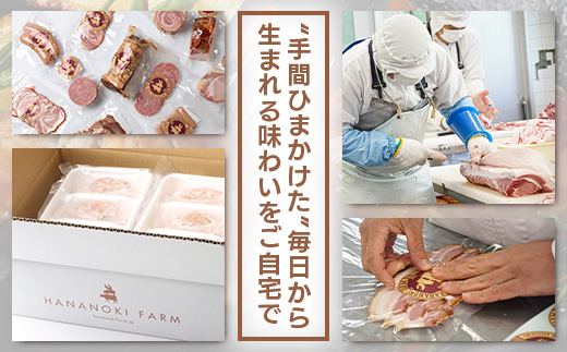 花の木農場 豚肉 ハンバーグ セット （100g×3個×6P） HK-4｜ 冷凍 ハンバーグ パック 豚肉 国産 ひき肉 お弁当 おかず 惣菜 手作り 農福連携 鹿児島県 南大隅町 第2花の木ファーム