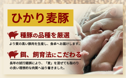 ひかり麦豚　しゃぶしゃぶ 食べ比べセット 900g ( 300g×3パック )