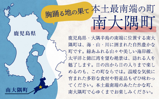 【返礼品なし】南大隅町への寄附　1口50,000円