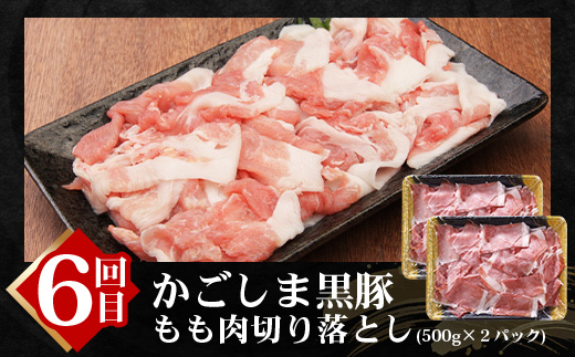 【全6回】極みの かごしま 黒豚定期便 NS-36 | 鹿児島 かごしま 豚 豚肉 ぶた おかず しゃぶしゃぶ 餃子 味噌漬け 生ハム 生姜焼き ハンバーグ ウインナー ハム ソーセージ 焼き豚 切り落とし もも肉 肩ロース バラ 人気 贈答 ギフト定期便 鹿児島県 南大隅町