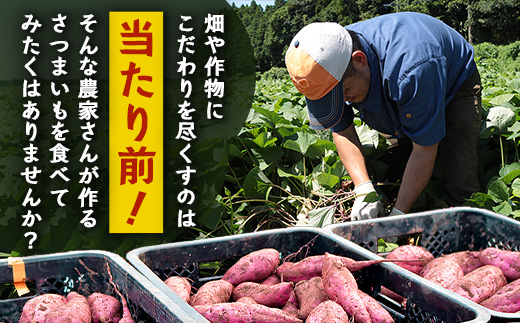 [訳あり！]先行予約【2025年11月下旬より順次発送】熟成 紅はるか 5kg (1箱 ) さつまいも 鹿児島県産