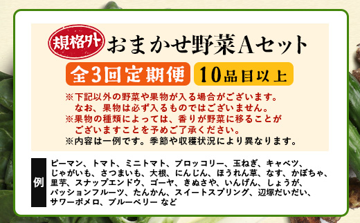 【定期便全3回】【規格外】本土最南端から 旬のおまかせ野菜セットA 10品目以上 NI-4 ｜ 旬 野菜 やさい 果物 くだもの 産地直送 農産物 冷蔵 鹿児島県 南大隅町産 詰合せ おまかせ 家庭用 訳あり なんたん市場