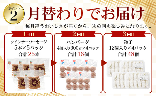 ≪定期便3回≫南大隅町 大人気店の自慢の味 コラボ定期便 NI-9｜本土最南端 加工品 惣菜 おかず お弁当 月替わり 毎月おとどけ 焼くだけ バラエティ 食べ比べ 3回 簡単調理 ストック 精肉店 ファーム 豚 鹿児島県 南大隅町 なんたん市場