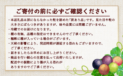 ＜訳あり＞ 本土最南端 ぶどう　ころころぶどうパック 約1.2㎏ ｜訳あり 家庭用 産地直送 旬 ブドウ 葡萄 ぶどう フルーツ 果物 くだもの 　TE707