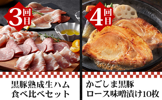 【全12回】至福の かごしま黒豚 味わい定期便 NS-37 | 鹿児島 かごしま 豚 豚肉 ぶた おかず しゃぶしゃぶ 餃子 味噌漬け 生ハム 生姜焼き ハンバーグ ウインナー ハム ソーセージ 焼き豚 切り落とし もも肉 肩ロース バラ 人気 定期便 鹿児島県 南大隅町