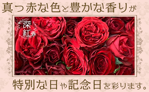 【先行予約】【数量限定・ギフト】ばら農家直送！深紅の薔薇20本お届け│ローズ 新鮮 バラ 花 フラワー 花束 ばら 薔薇 誕生日 記念日 結婚祝い プロポーズ ギフト プレゼント お祝い 贈り物 贈答 鹿児島県 南大隅町 富田バラ園 TB-17