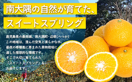 【数量限定】鹿児島県南大隅産スイートスプリング 5kg 【2025年12月下旬より順次発送】｜柑橘 くだもの 果物 フルーツ スイートスプリング 食品 人気 おすすめ 南大隅 新鮮 産地直送 爽やか 数量限定（AL7510）