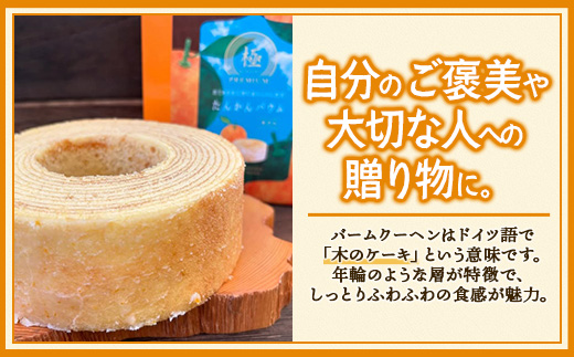 素材にこだわった南大隅町の手作りスイーツ ≪極≫ たんかん バウムクーヘン　1個