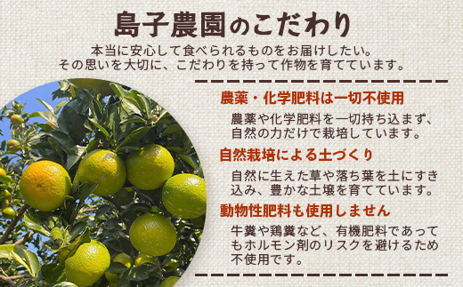 【先行予約】【数量限定】鹿児島県南大隅町産 スイートスプリング 約5kg 【2025年12月中旬以降順次発送】 SK-10 | 柑橘 フルーツ 国産 果物 みかん 期間限定 数量限定 産地直送 もぎたて 新鮮 果汁 たっぷり ミカン スイートスプリング 5kg 南大隅町 鹿児島県 島子農園