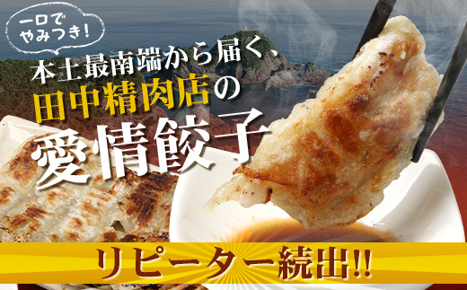 佐多の田中肉屋ニンニクたっぷりやみつき餃子 120個