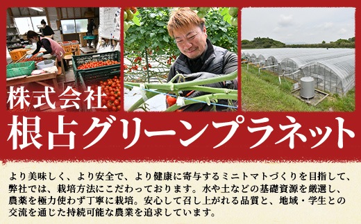 【先行予約】田淵さんちの美味しいミニトマト 小鈴（1.0kg）