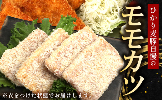 鹿児島県産 ひかり麦豚 モモかつ 計1.6kg （200g×8パック）衣つき トレーなし 冷凍 | 肉 お肉 にく 豚肉 黒豚 かごしま黒豚 モモ肉 トンカツ 冷凍 解凍して揚げるだけ 加工品 真空冷凍 産地直送 新鮮 小分け 産地直送 鹿児島県 南大隅町 ひかり麦豚直売所　HM-8