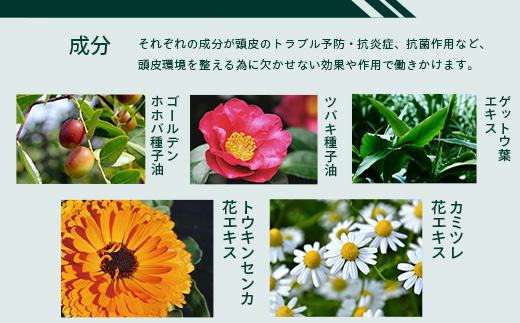 天然由来成分100％の二層式スカルプセラム。