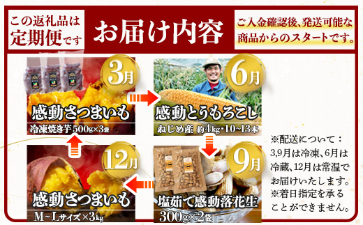 【定期便・年4回】農家の感動シリーズA(約9.1kg) FR-1｜冷凍焼き芋 ゴールドラッシュ とうもろこし 塩茹で 落花生 ピーナッツ 芋 さつまいも 紅はるか 野菜定期便 旬 産地直送 サラダ 南大隅町