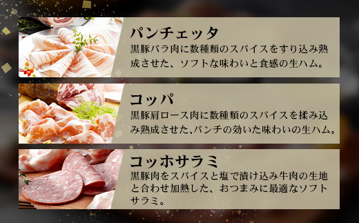 南州農場 黒豚熟成生ハム 4種食べ比べ セット 冷蔵  NS-9 | 国産 肉 お肉 豚肉 豚 にく ぶた かごしま黒豚 生ハム 最高峰 熟成ハム コッパ パンチェッタ コッホサラミ スパイス サラミ 詰め合わせ 産地直送 ギフト プレゼント 贈り物 鹿児島県 南大隅町 南州農場