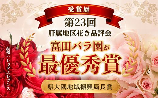 【日付指定必須・ギフト対応可】 夏季限定 ばら農家直送！バラ花束40本以上お届け(赤系) TB-5│ローズ 新鮮 花 フラワー 花束 ばら 薔薇 バラ 誕生日 記念日 結婚祝い ギフト プレゼント お祝い 贈り物 贈答 鹿児島県 南大隅町 富田バラ園