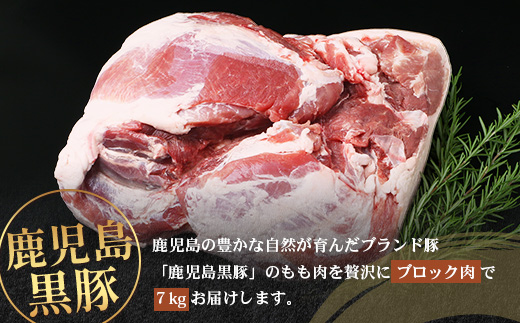 【南大隅町限定】かごしま黒豚 ももブロック（約7.0kg）NS-5 | 肉 豚肉 ぶた 豚 ブタ 黒豚 かごしま黒豚 もも肉 モモ肉 ももブロック 赤身 新鮮 産地直送 限定 大容量 鹿児島県 南大隅町 南洲農場