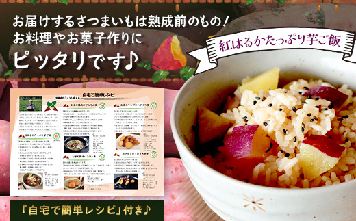 【先行予約：2026年9月中旬配送～】掘りたて さつまいも 紅はるか 5kg Mサイズ (おすそ分け袋／自宅で簡単レシピ付き）FR-204 | 秋の味覚 2026年秋収穫 新物 さつまいも サツマイモ 感動サツマイモ 焼き芋 べにはるか 使いやすい 野菜 おやつ おかず お弁当 煮物 芋ごはん 味噌汁 産地直送 鹿児島県 南大隅町 株式会社フォレスト