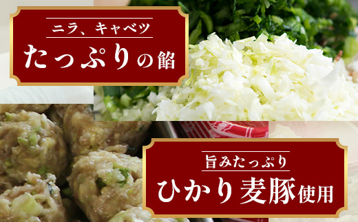 鹿児島県産 ひかり麦豚 ちょっと大きな 餃子 42個 セット | 肉 お肉 にく 豚肉 黒豚 かごしま黒豚 ミンチ 肉汁 ジューシー 食べ応え抜群 焼き餃子 水餃子 おかず お弁当 冷凍 パック 産地直送 鹿児島県 南大隅町 ひかり麦豚直売所 HM-707