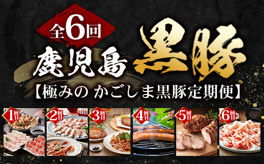 【全6回】極みの かごしま 黒豚定期便 NS-36 | 鹿児島 かごしま 豚 豚肉 ぶた おかず しゃぶしゃぶ 餃子 味噌漬け 生ハム 生姜焼き ハンバーグ ウインナー ハム ソーセージ 焼き豚 切り落とし もも肉 肩ロース バラ 人気 贈答 ギフト定期便 鹿児島県 南大隅町