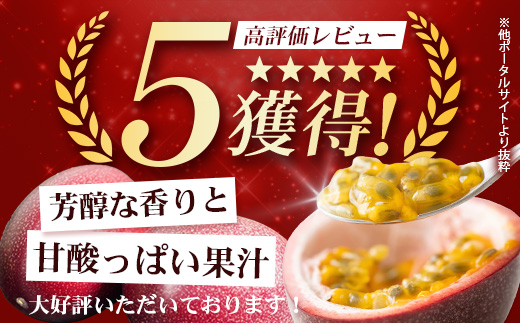 【2026年・先行予約】贈答用パッションフルーツ1kg （約11個） 濱田農園 HB-706 ｜先行予約 産地直送 新鮮 パッション フルーツ 南大隅町 果物 果実 ギフト プレゼント濱田農園 贈答用 人気 南国フルーツ 鹿児島県 南大隅町 hello! brand new days 