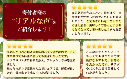 田淵さんちの美味しい ミニトマト 小鈴（約1kg）GP-708｜野菜 トマト ミニトマト 産地直送 新鮮 おいしい お弁当 サラダ 南大隅町 鹿児島県 根占グリーンプラネット