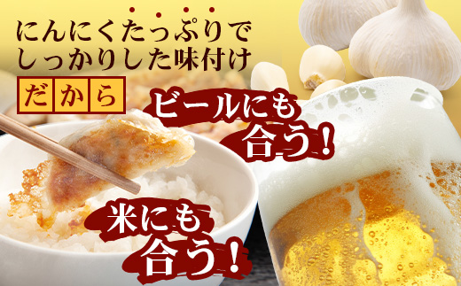 佐多の田中肉屋ニンニクたっぷりやみつき餃子 240個（12個入り×20パック） 餃子のタレ3本付き | ぎょうざ 餃子 ギョウザ にんにく スタミナ餃子 大容量 手作り おかず ビールと一緒に 冷凍 産地直送 鹿児島県 南大隅町 田中精肉店　TA-2