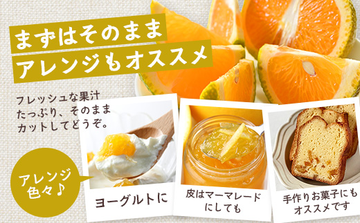 【先行予約】【数量限定】鹿児島県南大隅町産 スイートスプリング 約5kg 【2025年12月中旬以降順次発送】 SK-10 | 柑橘 フルーツ 国産 果物 みかん 期間限定 数量限定 産地直送 もぎたて 新鮮 果汁 たっぷり ミカン スイートスプリング 5kg 南大隅町 鹿児島県 島子農園