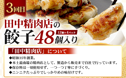 ≪定期便3回≫南大隅町 大人気店の自慢の味 コラボ定期便 NI-9｜本土最南端 加工品 惣菜 おかず お弁当 月替わり 毎月おとどけ 焼くだけ バラエティ 食べ比べ 3回 簡単調理 ストック 精肉店 ファーム 豚 鹿児島県 南大隅町 なんたん市場