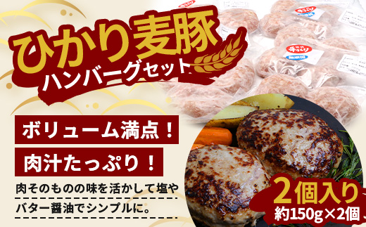 鹿児島県産 ひかり麦豚 手捏ねハンバーグ セット サイズ違い 大中小 計22個 | 肉 お肉 にく 豚肉 黒豚 かごしま黒豚 手ごね 絶品 ハンバーグ 添加物不使用 肉汁 ジューシー おかず お弁当 ロコモコ 冷凍 産地直送 小分け 甘み 鹿児島県 南大隅町 ひかり麦豚直売所 HM-705