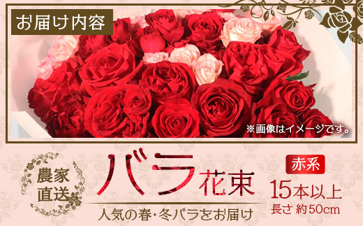 【先行予約】【人気の春・冬薔薇をお届け】ばら農家直送！バラ花束15本以上お届け(赤系) 【ギフト対応可】│ローズ 新鮮 花 フラワー 花束 ばら 薔薇 バラ 誕生日 記念日 結婚祝い ギフト プレゼント お祝い 贈り物 贈答 鹿児島県 南大隅町 富田バラ園 TB-9