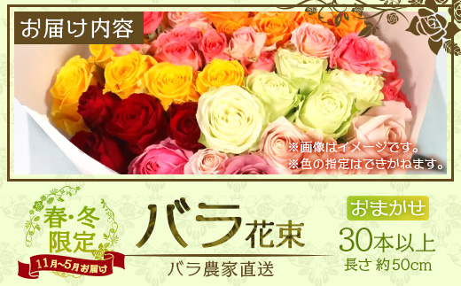 ※先行予約※【日付指定必須・ギフト対応可】ばら農家直送！人気の春・冬薔薇をお届け♪ バラ花束30本以上(色はおまかせ) TB-16 │ ローズ 新鮮 花 フラワー 花束 ばら 薔薇 バラ 誕生日 記念日 結婚祝い ギフト プレゼント お祝い 贈り物 贈答 鹿児島県 南大隅町 富田バラ園