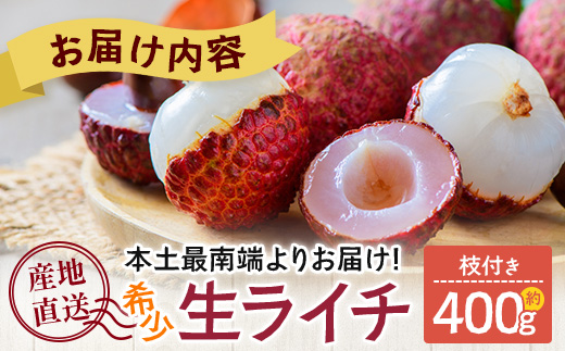 【今が旬！数量限定】本土最南端よりお届け！希少生ライチ（約400g）TE-1｜国産 果物 ライチ らいち 生 枝付き 栽培期間中 無農薬 ぷりぷり ジューシー 産地直送 限定 鹿児島県 南大隅町 有限会社ティエラ