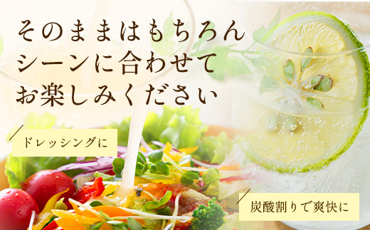 そのまま！逸品！フルーツのストレートジュース　辺塚だいだい３種飲み比べセット(スパイシー緑、マイルド白、リッチ黄)315ml×3本 NK-17｜ジュース 辺塚だいだい へつか リッチ ストレート ドリンク 3種 コールドプレス 新鮮 鹿児島県 南大隅町