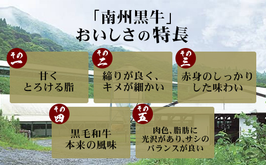 【南州黒牛】霜降りローススライス（3134）