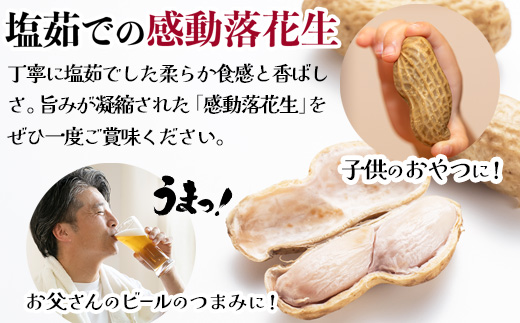 先行予約【2025年9月下旬より順次発送】国産 塩茹で落花生 300 g × 1 パック