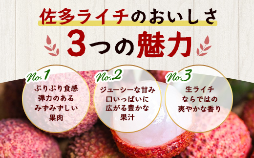 【今が旬！数量限定】本土最南端よりお届け！希少生ライチ（約400g）TE-1｜国産 果物 ライチ らいち 生 枝付き 栽培期間中 無農薬 ぷりぷり ジューシー 産地直送 限定 鹿児島県 南大隅町 有限会社ティエラ