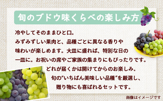 【期間限定!数量限定!】2026年7月下旬発送 旬のブドウ味くらべ約3kg (6～7房) TE710｜産地直送 旬 ブドウ 葡萄 ぶどう フルーツ 果物 くだもの 果実 食べ比べ 鹿児島県 南大隅町 有限会社ティエラ　